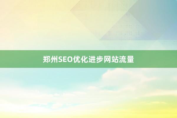 郑州SEO优化进步网站流量